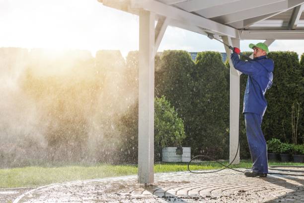Animal Enclosure Cleaning in Ellettsville, IN